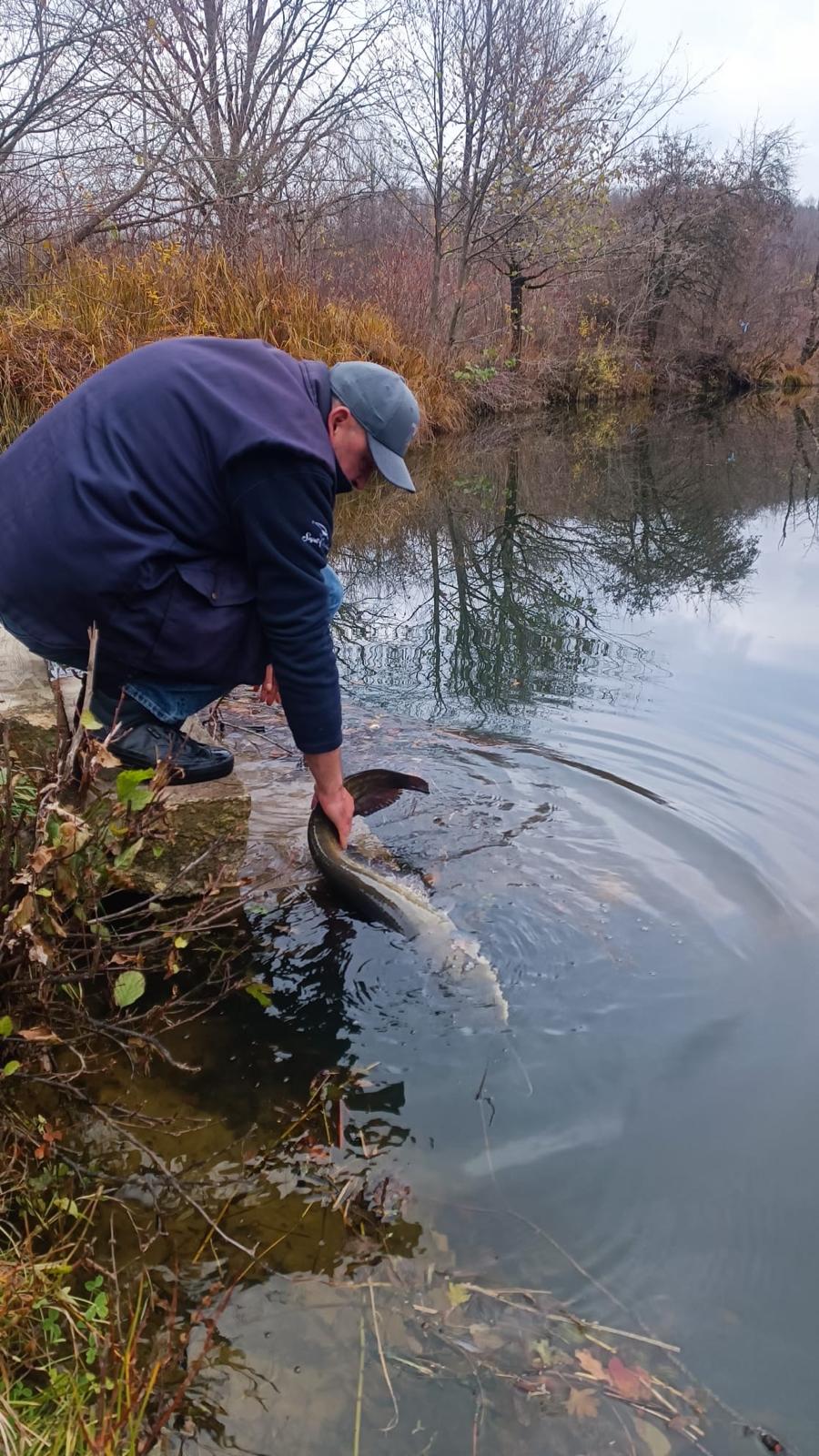 Poribljavanje Korane