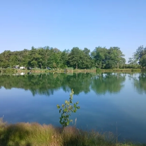 img-20260621-wa0049