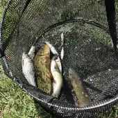 Kup grada Slunja u lovu ribe udicom na plovak  22 