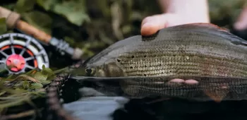 slunjcica ribolovno podrucje  11 .1