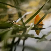 slunjcica ribolovno podrucje  12 .1