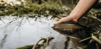 slunjcica ribolovno podrucje  13 .1