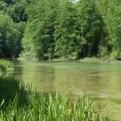 slunjcica ribolovno podrucje  16 