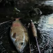 slunjcica ribolovno podrucje  5 