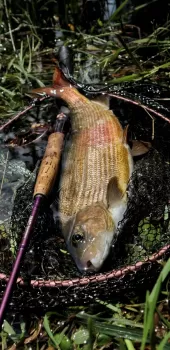 slunjcica ribolovno podrucje  8 