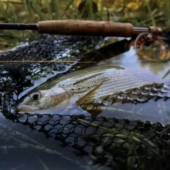 slunjcica ribolovno podrucje  9 