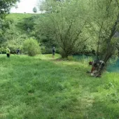 17 memorijalni kup dragutin jurasin  