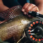 slunjcica ribolovno podrucje  19 .1