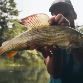 slunjcica ribolovno podrucje  20 .1