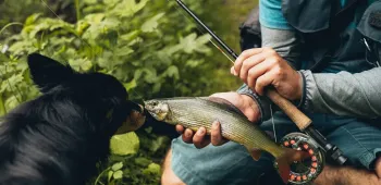 slunjcica ribolovno podrucje  21 .1