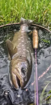 slunjcica ribolovno podrucje  22 