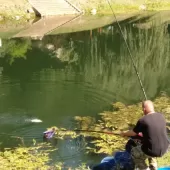 375587965 754769556658921 n