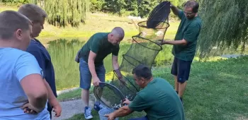 376723898 754767289992481 n