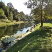 376852352 754769643325579 n