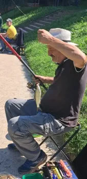 376852779 754770113325532 n