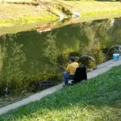 376860152 754769589992251 n