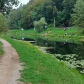 drustveno natjecanje u lovu ribe udicom na plovak drustveno natjecanje u lovu ribe udicom na plovak