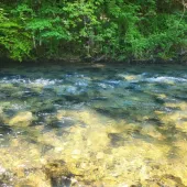 messenger creation 371b7d74 cdad 45ff 9910d3bfc0cbed