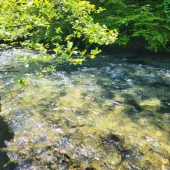 messenger creation 39691182654 46a6 988bcca81d902a0