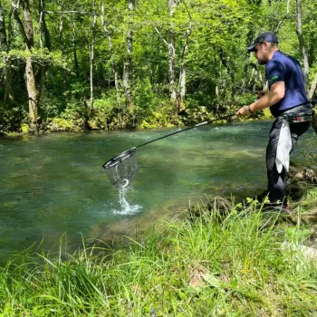 messenger creation 3ab45e40 9145 4f52 b767fcecf85ba