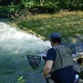 messenger creation 47442c38 9250 4b51 a2b4f81eac53543