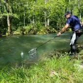 messenger creation b72cb2c1 35d8 4202 b06bface442adc3