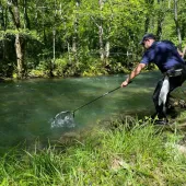 messenger creation ba83509d 411d 4f8c 9184de17c39f9c