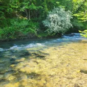 messenger creation f323614a fb0d b325 d7b07322d8fe