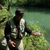 hrvatska musicarska liga 5 6 kolo  