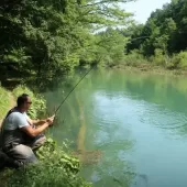 hrvatska musicarska liga 5 6 kolo  