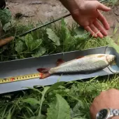 hrvatska musicarska liga 5 6 kolo  