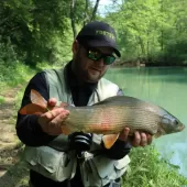 hrvatska musicarska liga 5 6 kolo  