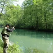 hrvatska musicarska liga 5 6 kolo  