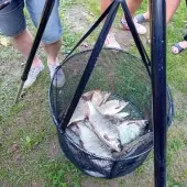 374219698 755034013299142 n