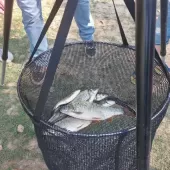 374278330 755033783299165 n