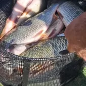 374528230 755034406632436 n