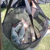 374531722 755033869965823 n