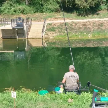 375866220 755036673298876 n