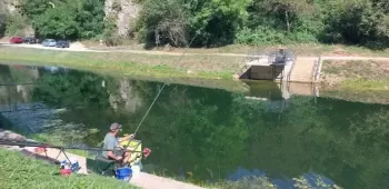 376227424 755035909965619 n