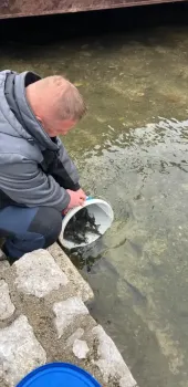 poribavljanje slunjice  