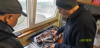 poribavljanje slunjice  