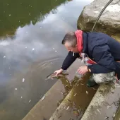 poribljavanje rijeke korane  