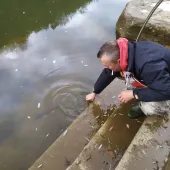 poribljavanje rijeke korane  